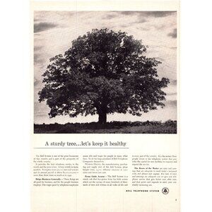 1950 Bell Telephone System Landscape Oak Tree Vintage Print Ad 50s Wall Art